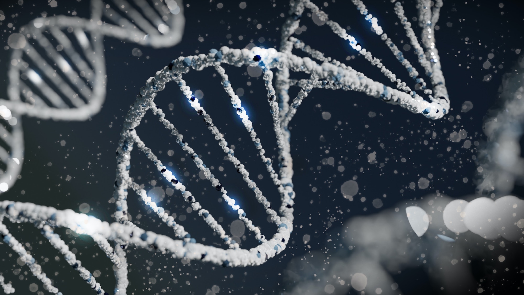 Small round picture of dna.